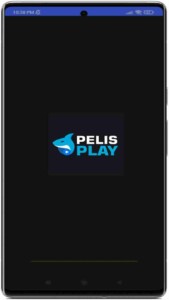 Pelisplay 1