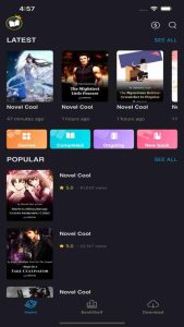 Novel Cool 1