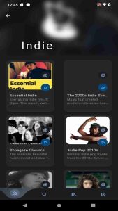 Spotube Premium 3