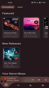 Spotube Premium 2