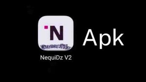 Nequidz Y2 2