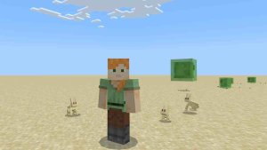Minecraft 1.21.80 3
