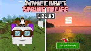 Minecraft 1.21.80 2