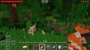 Minecraft 1.21.95 3